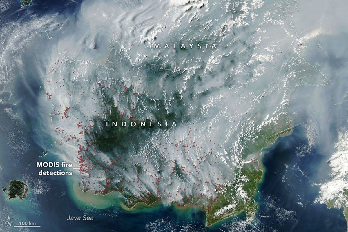 Citra MODIS NASA memperlihatkan titik panas kebakaran gambut dan asap di Kalimantan pada 1 September 2026. Gambar diperkecil serta disimpan ulang sebagai JPEG tanpa mengubah isi visual.