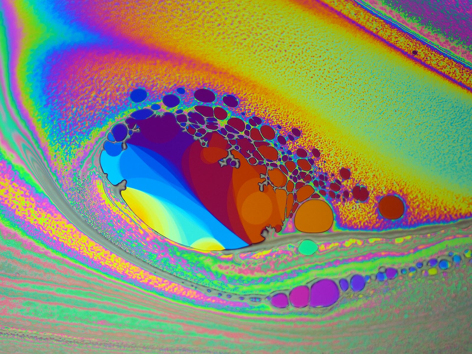 Pola interferensi pada gelembung sabun di bawah cahaya terpolarisasi, didokumentasikan 27 April 2015. Foto: Cosmic73; halaman foto: https://commons.wikimedia.org/wiki/File:Interference_on_soap_bubbles.jpg; lisensi CC BY-SA 4.0: https://creativecommons.org/licenses/by-sa/4.0/. Perubahan: diperkecil dan dikonversi ke JPEG.