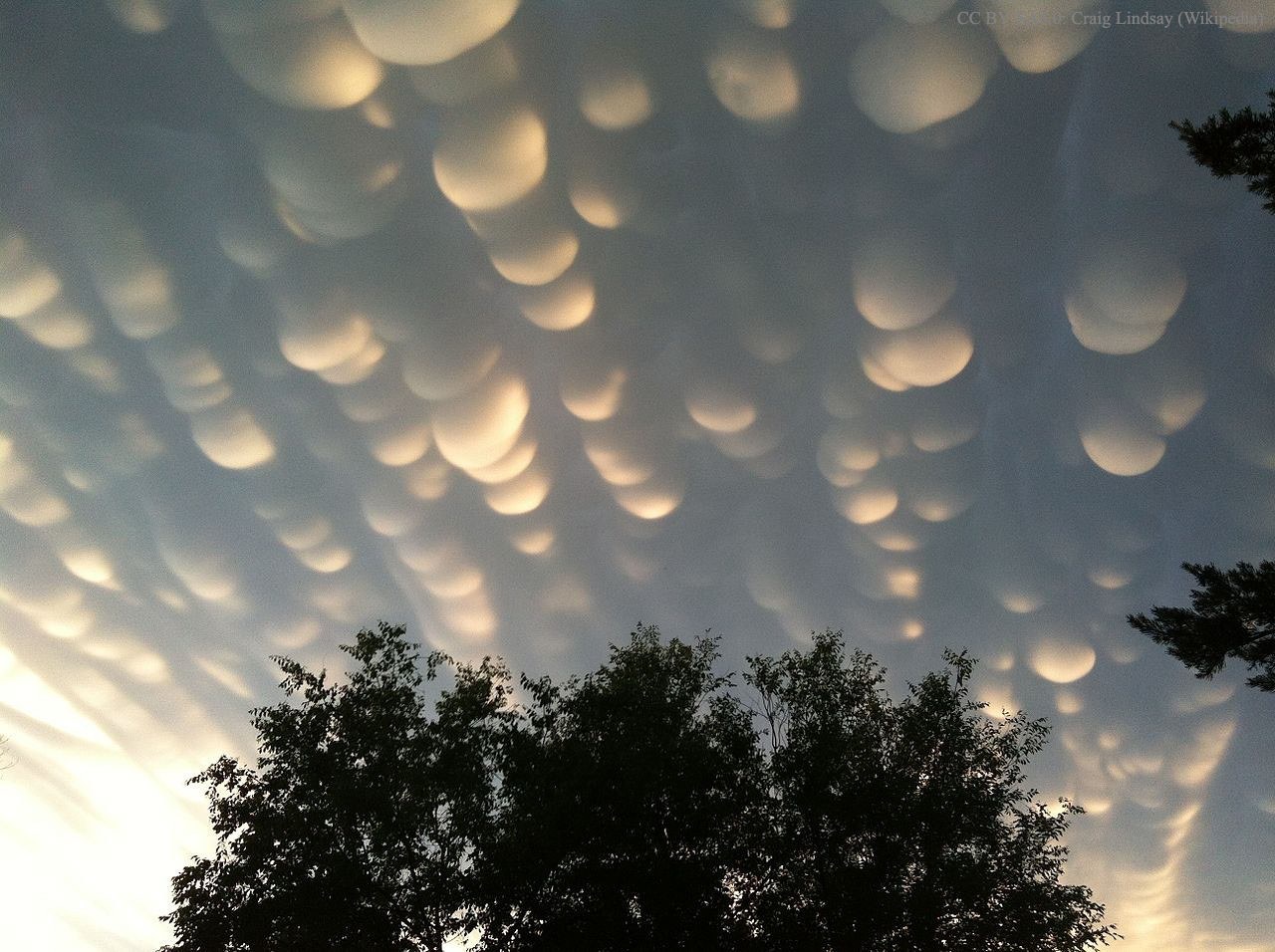 Mammatus di atas Regina, Saskatchewan, Kanada, 26 Juni 2012, karya Craig Lindsay; judul foto: Mammatus clouds regina sk june 2012. Salinan ditampilkan NASA APOD pada 18 Oktober 2015. Bukan kondisi cuaca Indonesia atau foto terbaru.