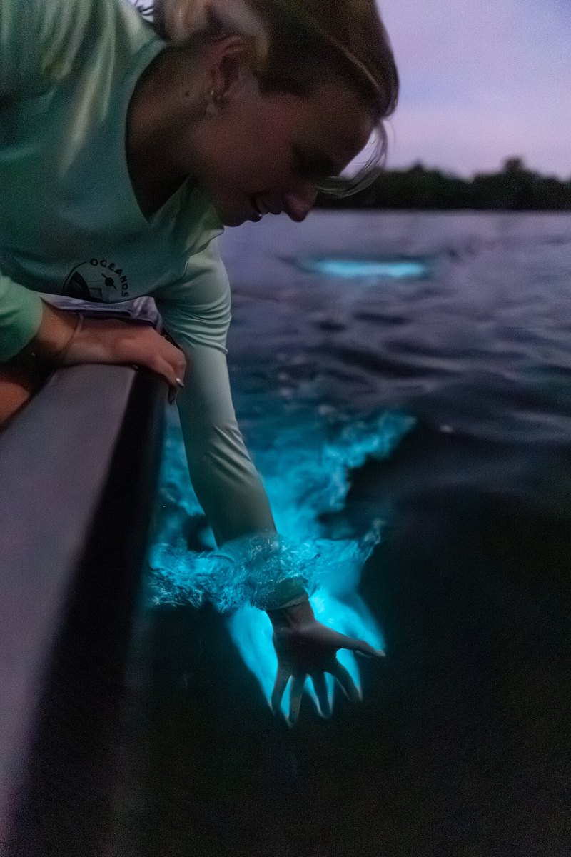 Jejak tangan bercahaya pada air berisi organisme bioluminesen, 18 Juni 2024. Dokumentasi satu respons; berkas diubah ukuran dan dikonversi ke JPEG.