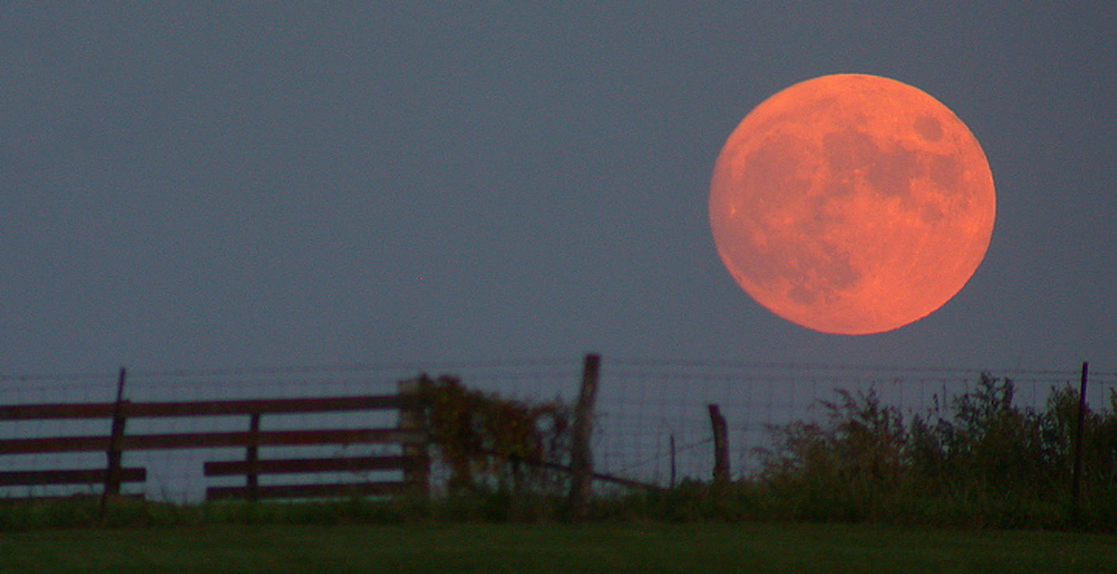 Harvest moon dekat horizon, diunggah 26 September 2007. Foto ilustrasi ilusi Bulan; ukuran diubah dan dikonversi ke JPEG tanpa pemotongan.