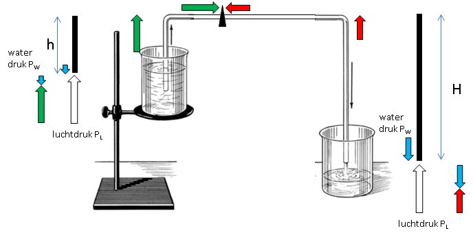 Demonstrasi prinsip sifon dengan selang dan dua wadah, didokumentasikan 2 Agustus 2013. Foto: TheoDeKlerk; halaman foto: https://commons.wikimedia.org/wiki/File:Siphon_physics_principles.jpg; lisensi CC BY-SA 3.0: https://creativecommons.org/licenses/by-sa/3.0/. Perubahan: diperkecil dan dikonversi ke JPEG.