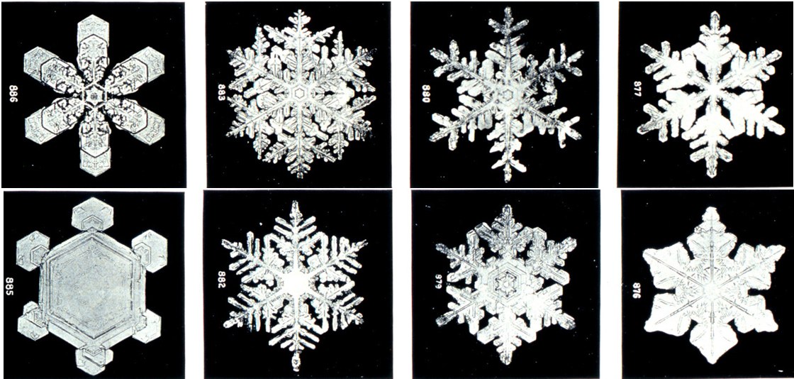 Cuplikan foto mikroskopis kristal salju karya Wilson Bentley dari Annual Summary of the Monthly Weather Review untuk 1902, disediakan arsip NOAA Photo Library. Foto historis, bukan peristiwa salju terkini atau gambar buatan AI.