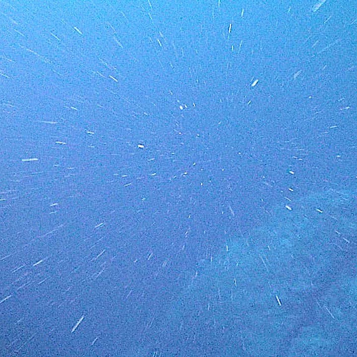 Partikel salju laut tampak di kolom air dalam dokumentasi NOAA Ocean Exploration pada 25 Juni 2018. Tanggal sumber: 2018-06-25.