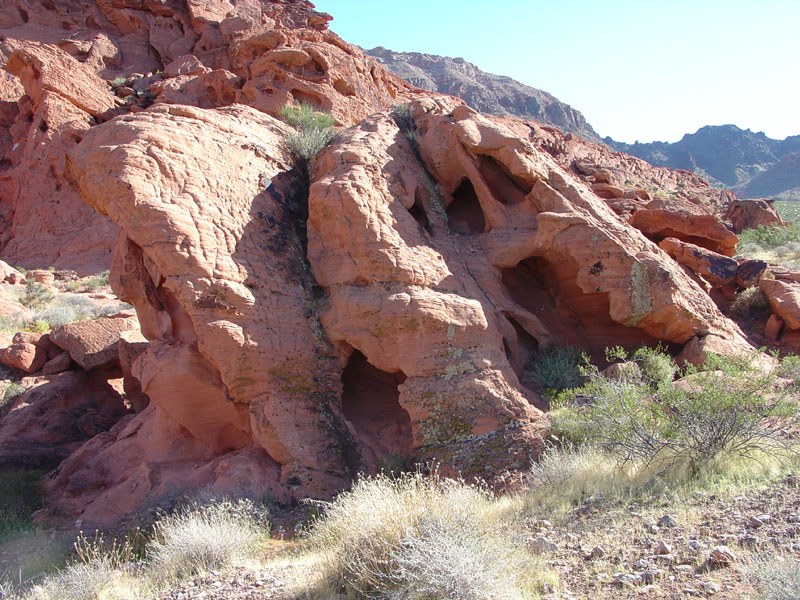 Pelapukan tafoni pada Aztec Sandstone dekat Redstone Picnic Area, Lake Mead, arsip USGS yang diterbitkan 23 Desember 2005. Tanggal pemotretan dan fotografer individual tidak dicantumkan.