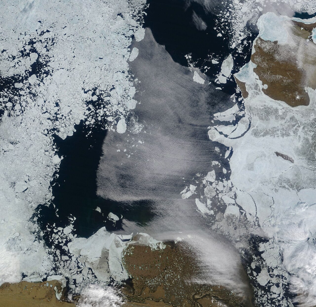 Cloud streets di Laut Laptev yang direkam MODIS pada satelit Terra; dokumentasi 10 Juli 2025. Foto: NASA Earth Observatory / Michala Garrison, memakai data MODIS dari NASA EOSDIS LANCE dan GIBS/Worldview; cerita Kathryn Hansen / domain publik.