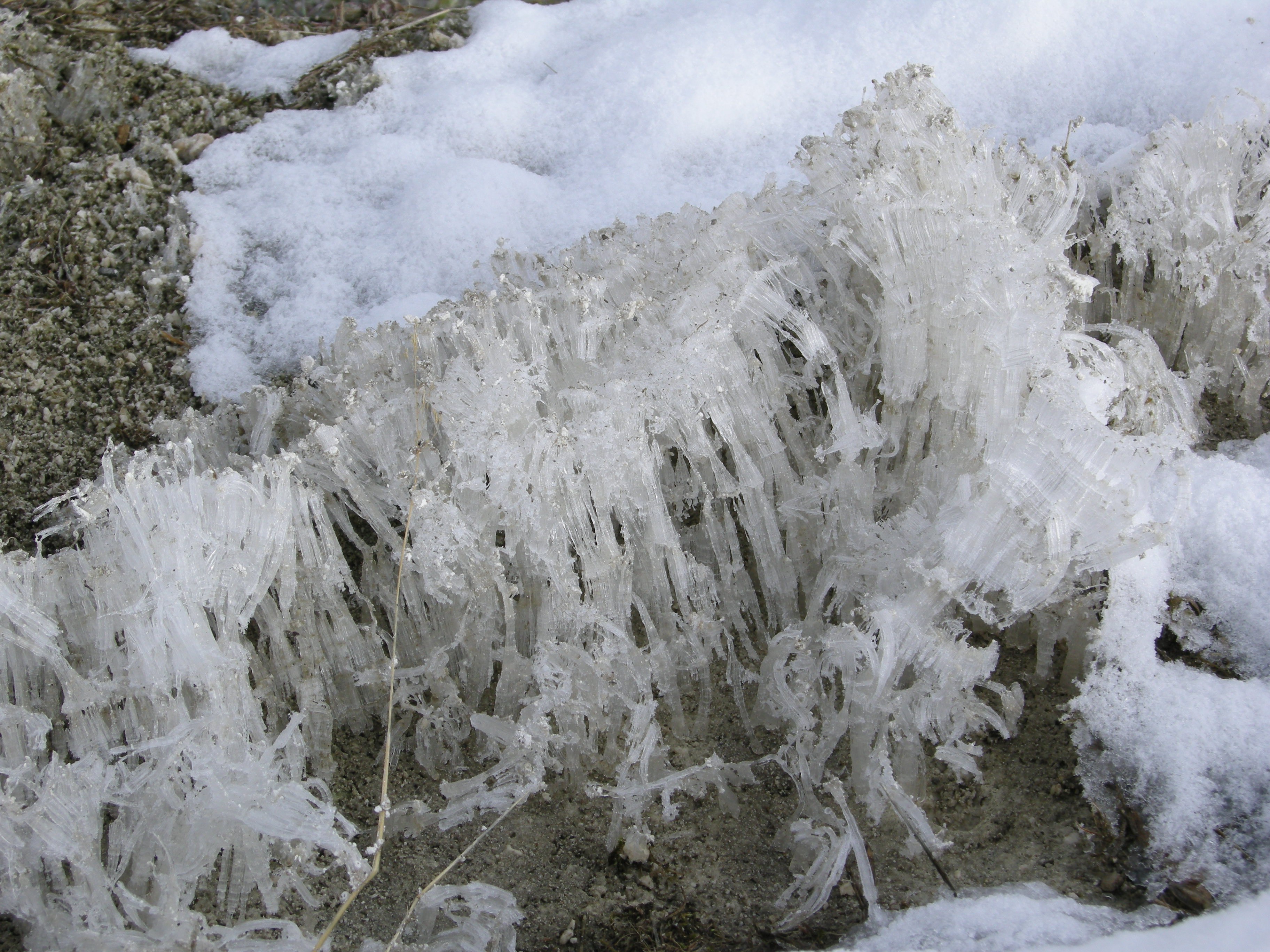 Needle ice dalam arsip Yellowstone National Park, dipotret Diane Renkin/NPS pada 27 Januari 2011. Ilustrasi bentuk kristal, bukan dokumentasi percobaan penelitian 2021.