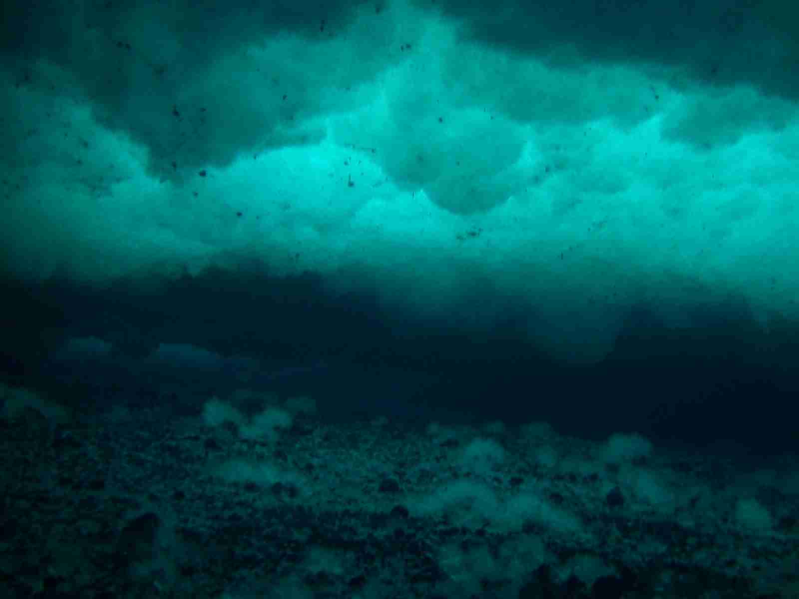 Anchor ice di dasar laut di bawah es laut Cape Armitage, McMurdo Sound, Antarktika; diunggah 14 Maret 2006.