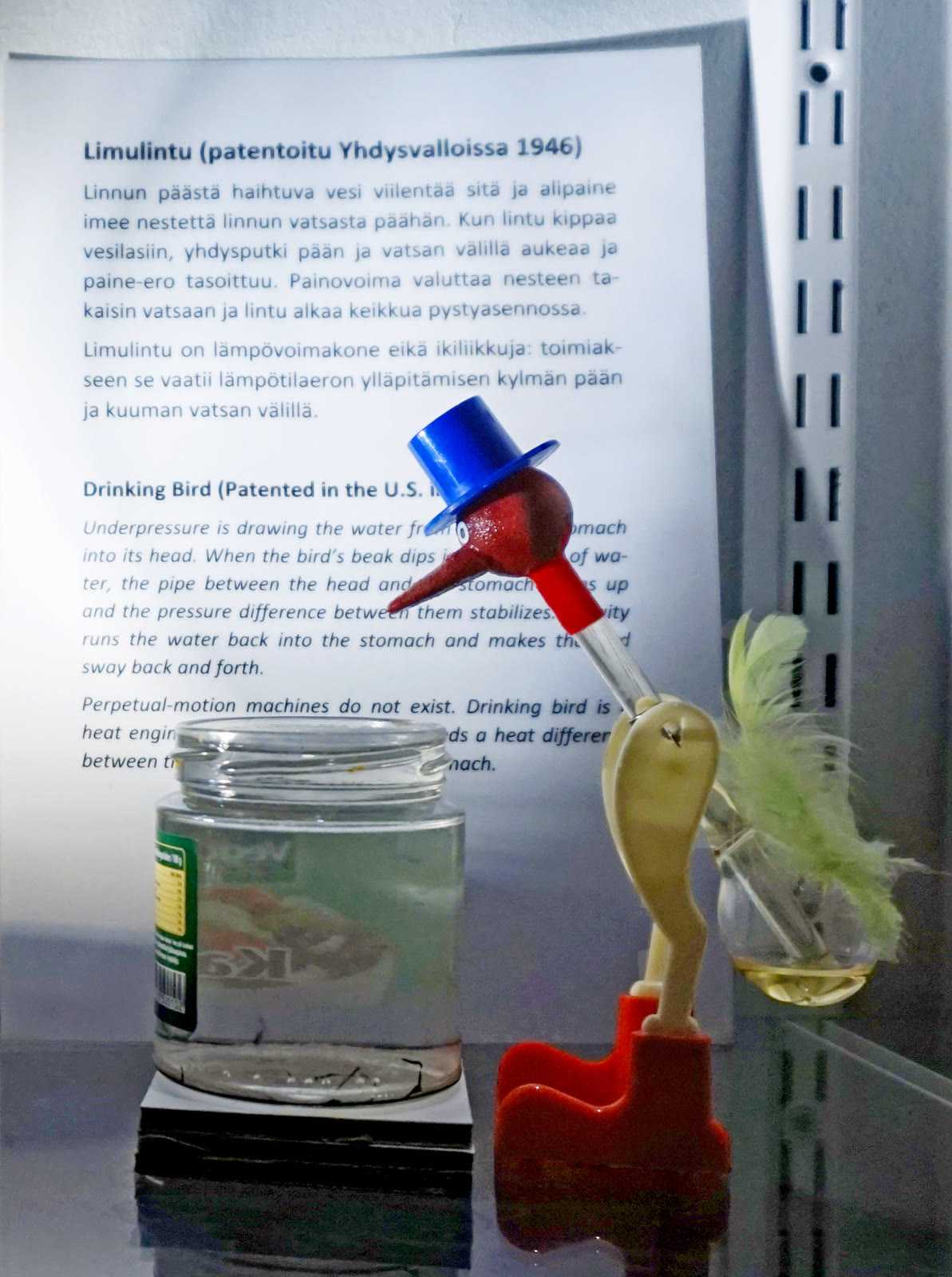 Peraga drinking bird dalam pameran energi di Museum Sejarah Alam Finlandia Tengah, didokumentasikan 20 Mei 2017. Foto dipotong seperlunya, diubah ukuran, dan dikonversi ulang ke JPEG.