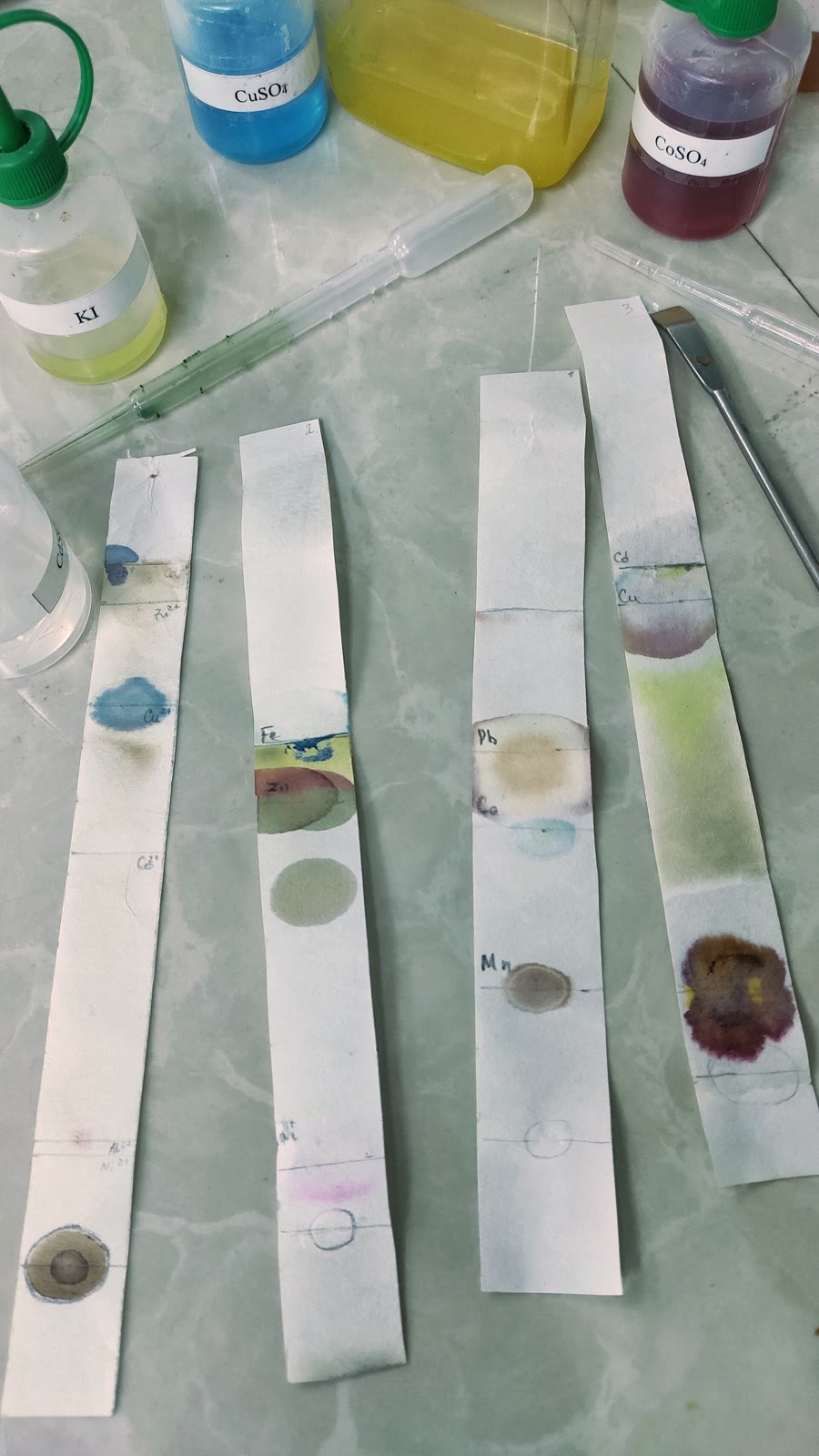 Strip kertas kromatografi yang telah dikeringkan setelah pemisahan sampel di laboratorium, didokumentasikan 21 November 2019. Foto: Yuliiaoleksii; halaman foto: https://commons.wikimedia.org/wiki/File:Paper_chromatography.jpg; lisensi CC BY 4.0: https://creativecommons.org/licenses/by/4.0/. Perubahan: diperkecil dan dikonversi ke JPEG.